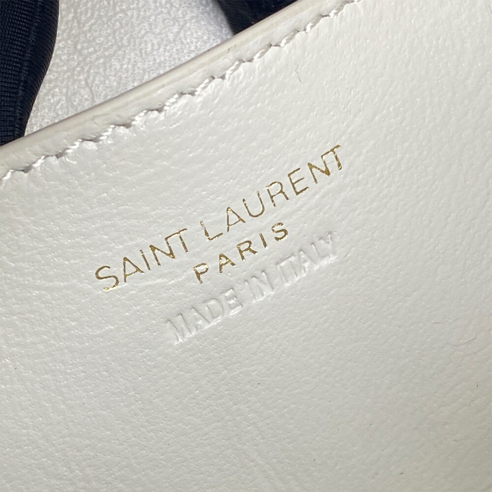 YSL GABY vanity bag in lambskin