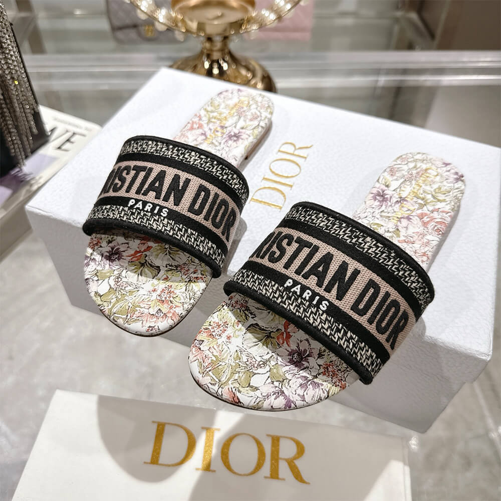 DIOR Dway Slide