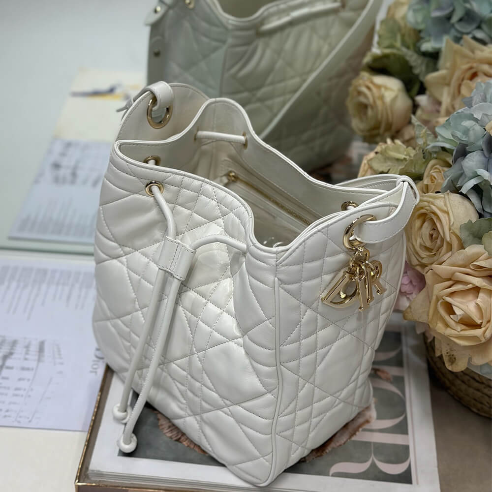 Dior Medium D-Motion Bag(HIGH-END GRADE)