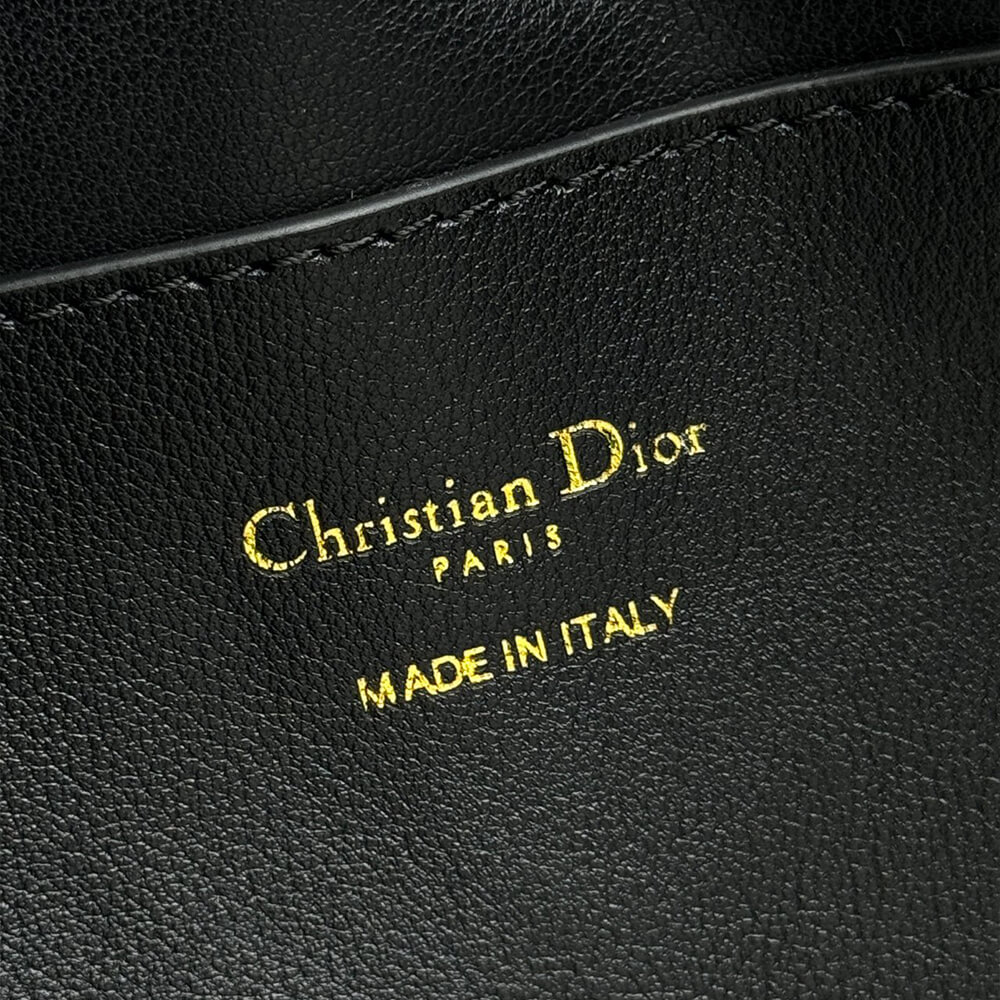 Dior Walk in Dior Purse