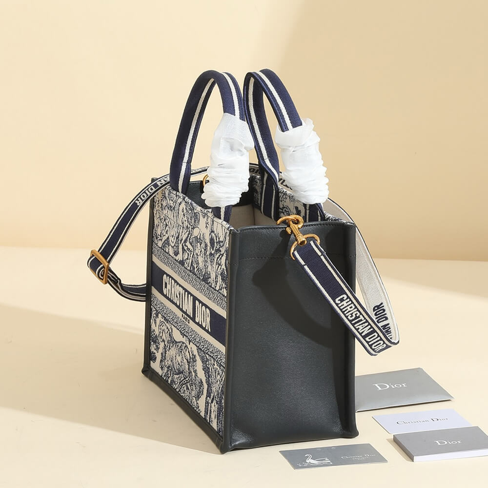 Small Dior Book Tote
