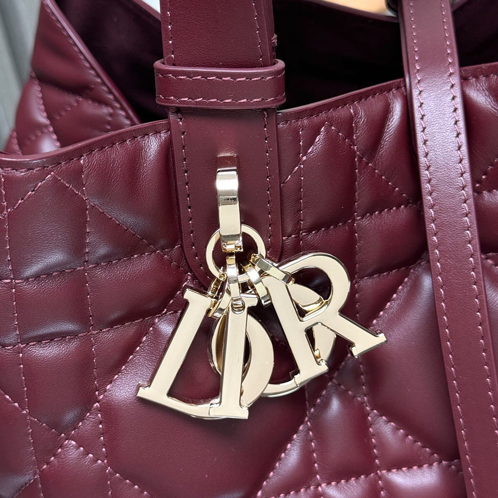 Medium Dior Toujours Bag