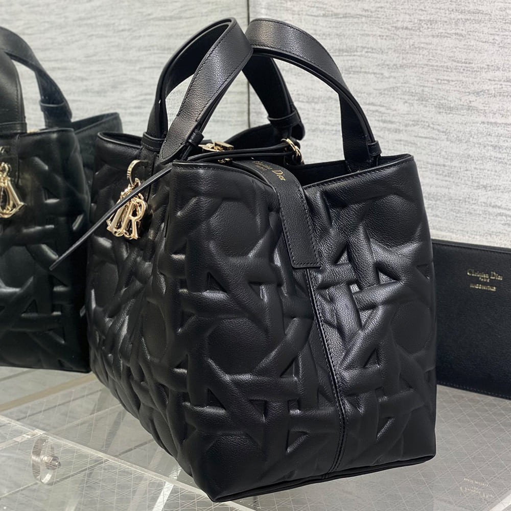 Medium Dior Toujours Bag