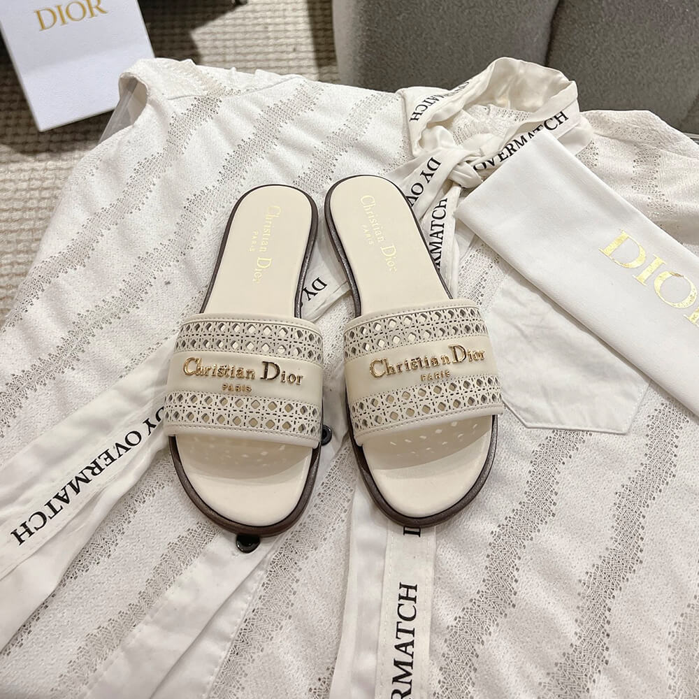DIOR D-Lane Slide