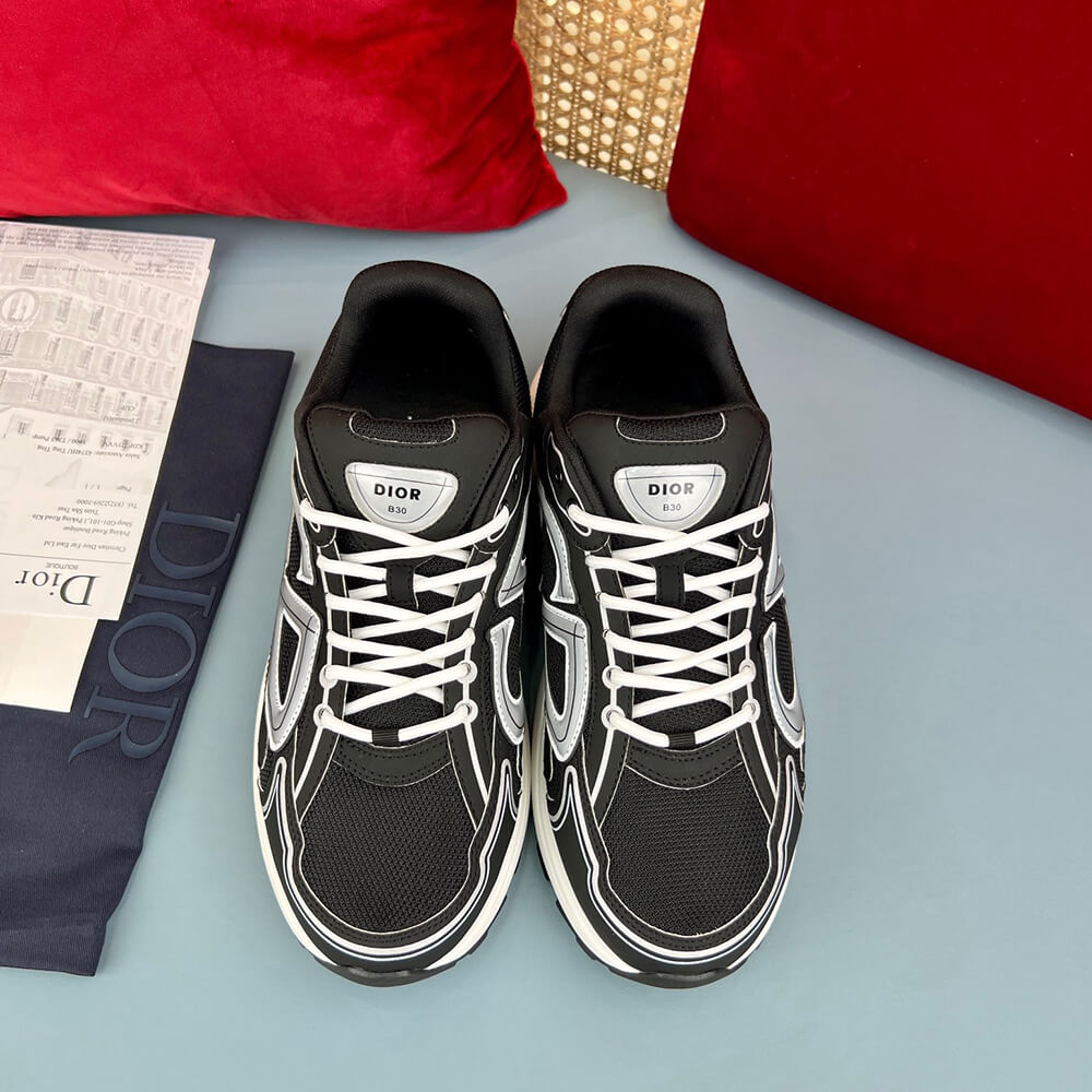 Dior Sneaker