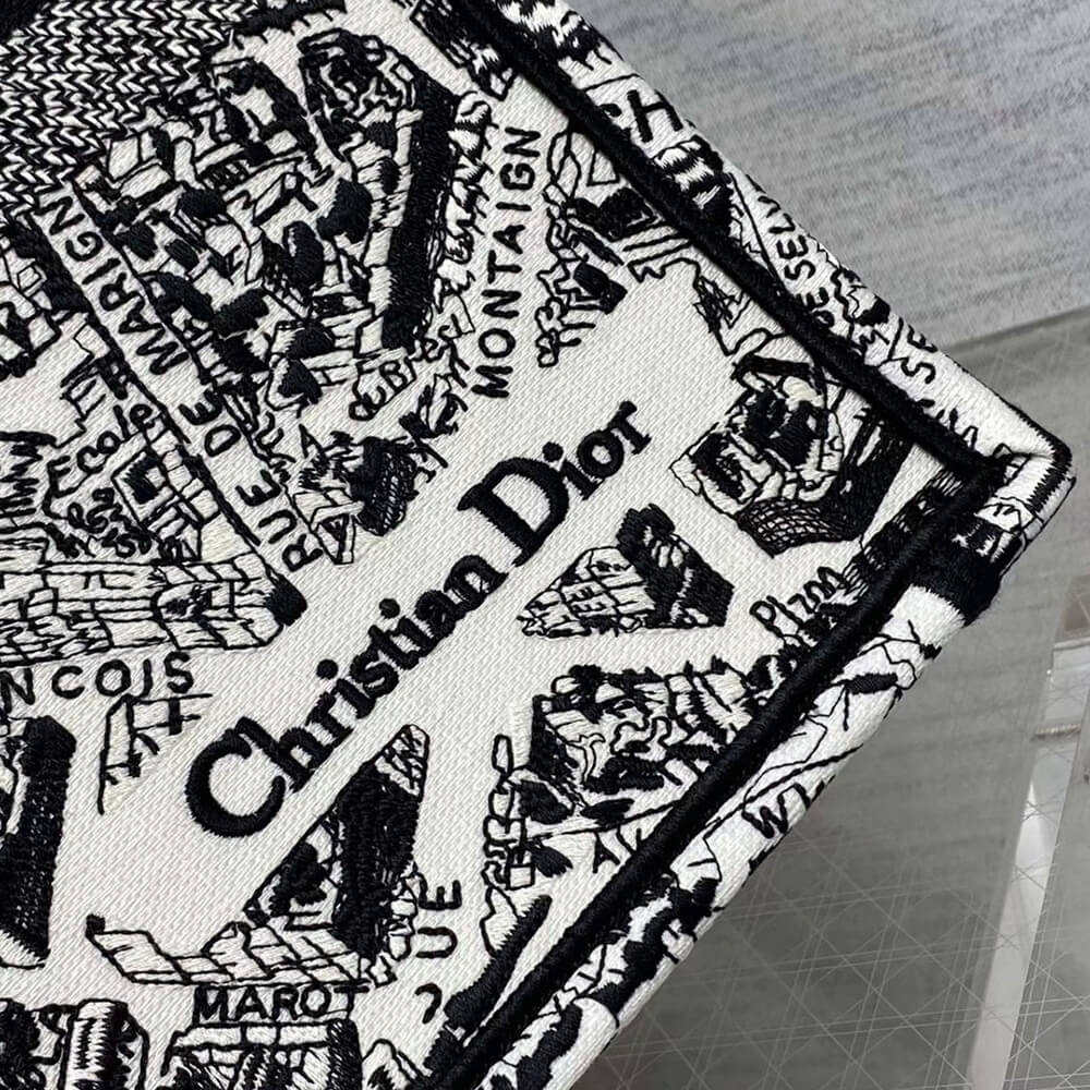 LARGE DIOR BOOK TOTE