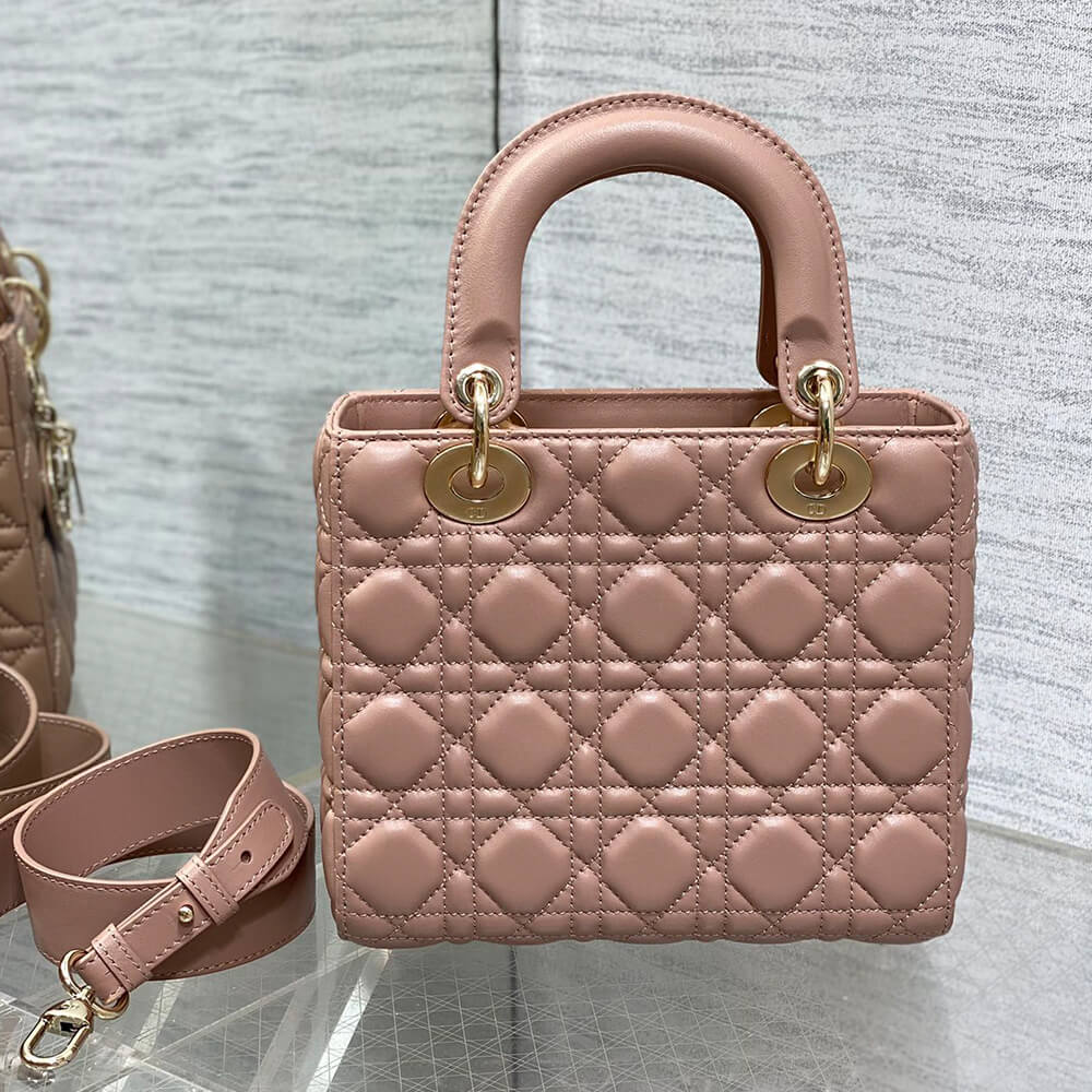 Small Lady Dior My ABCDior Bag