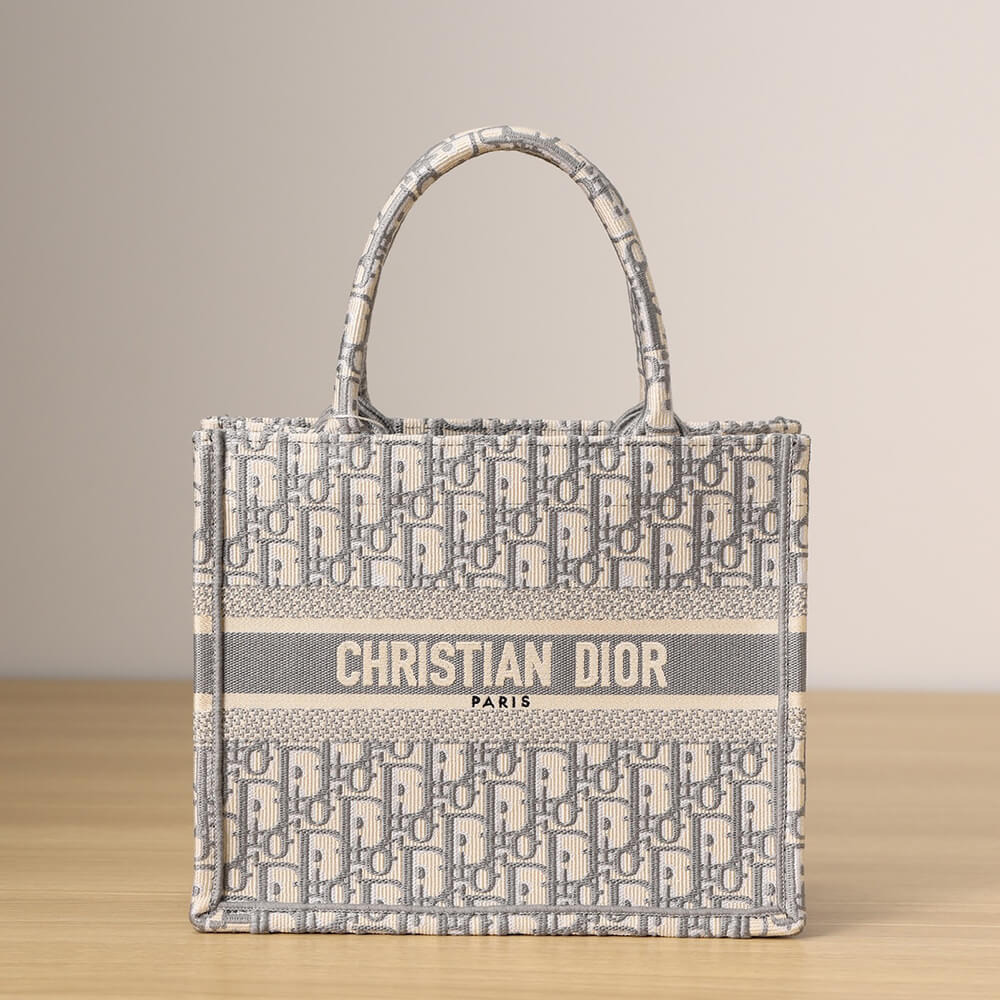 SMALL DIOR BOOK TOTE